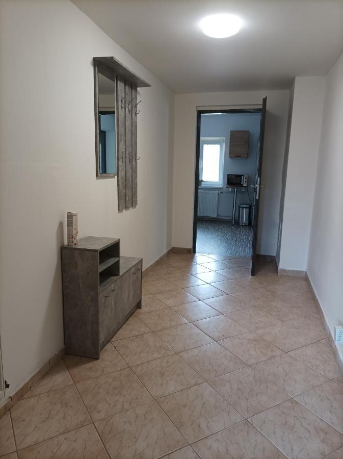 Apartman Vesele 德辛 外观 照片