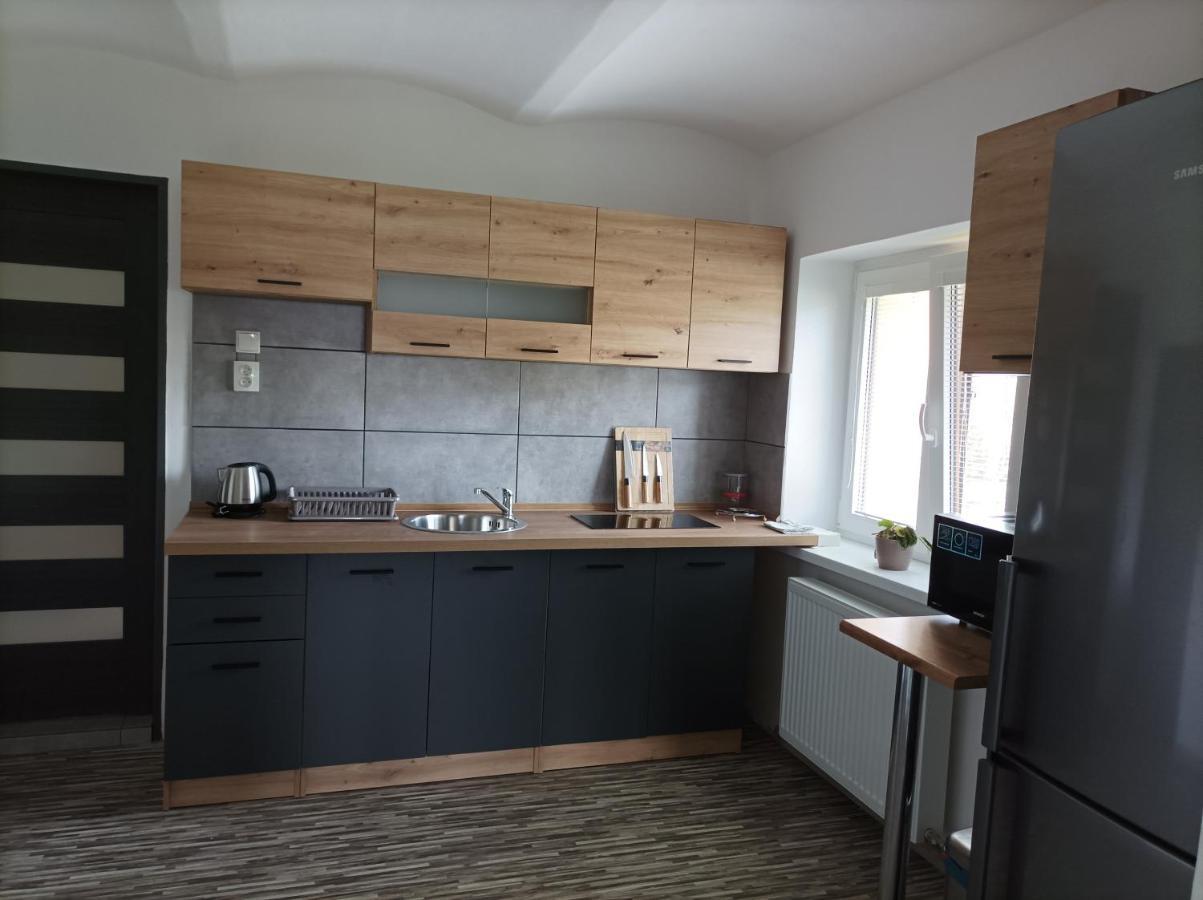 Apartman Vesele 德辛 外观 照片
