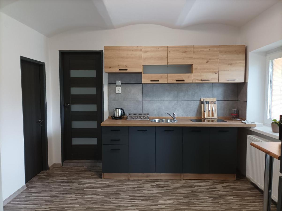Apartman Vesele 德辛 外观 照片