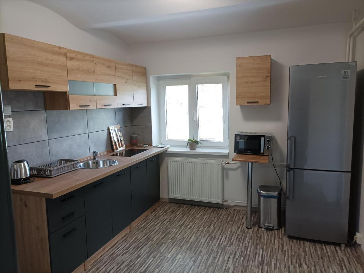 Apartman Vesele 德辛 外观 照片