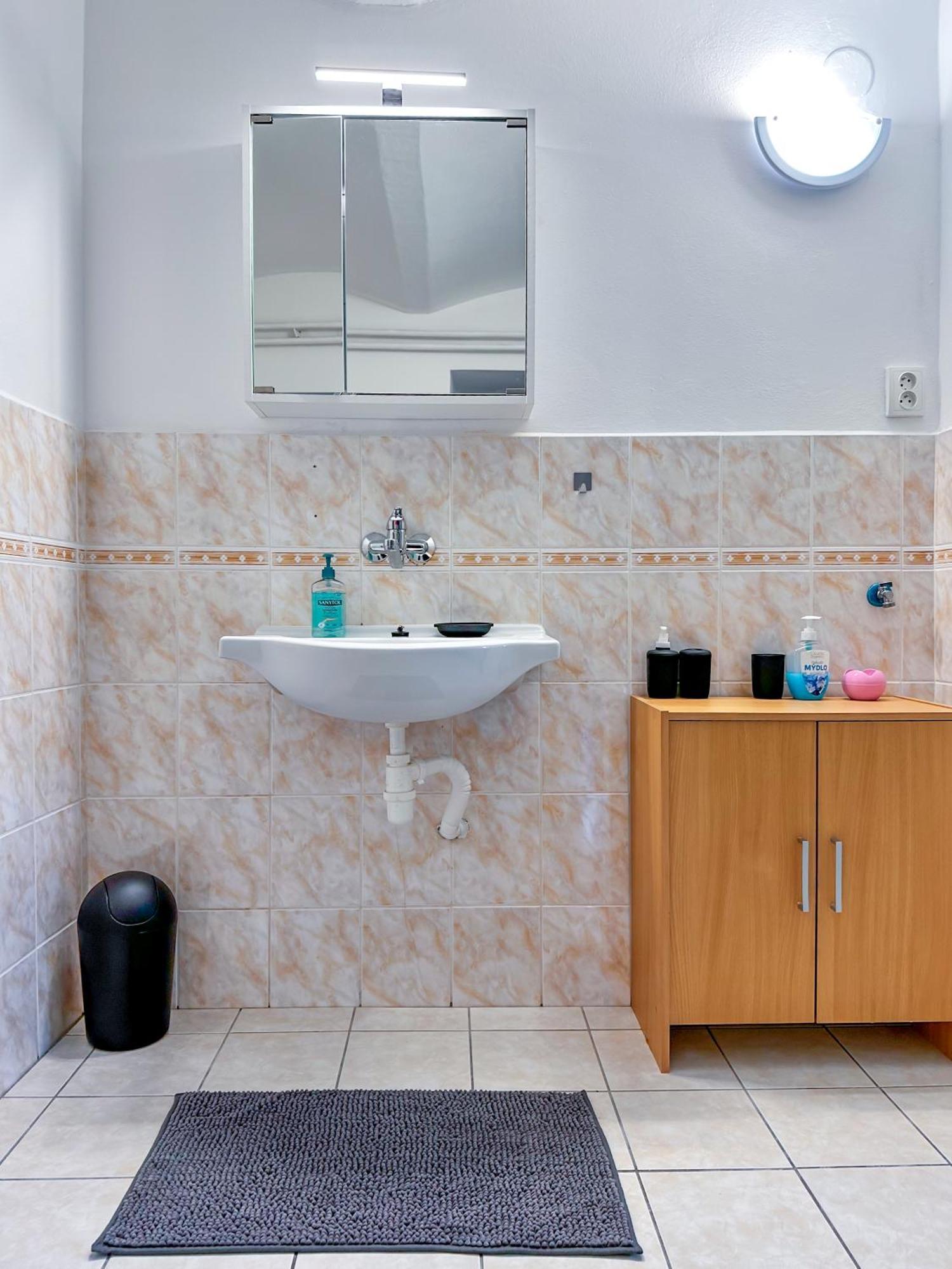 Apartman Vesele 德辛 外观 照片